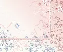 DET (4).webp