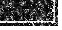 FLORAVYN DETAIL.webp