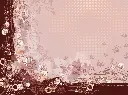 SELUNÉA HD DET.webp