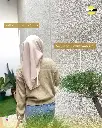 25.webp