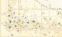 FLORAL TETHER HD det.webp
