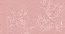 LILYNESS REG DETAIL.webp