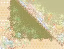 FOREST HAIKU HD DET.webp