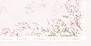 TINY UP HILL REG DETAIL.webp