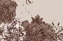 GENDHIS REG DET.webp