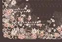 SOFT RUCHE HD det.webp