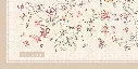 CITRINE PETAL DETAIL.webp