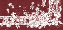 AURORA PADMA DETAIL.webp