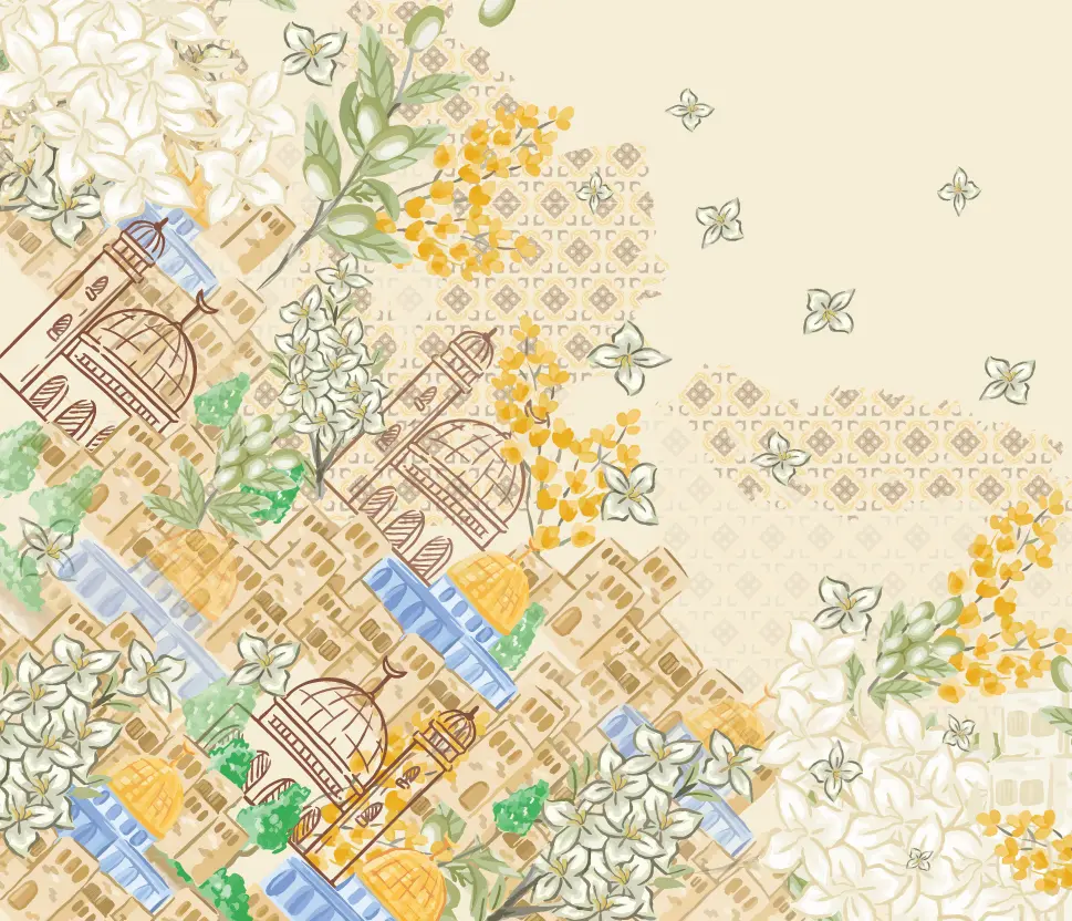 ZAYTOUNA COLLECTION HD DETAILS.webp