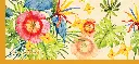 VIBRANT TROPICAN REG DETAIL.webp
