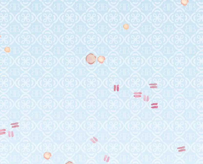 DEW OF SENTANI LILY DETAIL ROK.webp