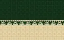 ORCHID OF EMERALD ISLE ROK DETAIL.webp