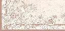 SUNFLOWER STYLE DETAIL.webp