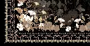 DESERT HERITAGE DETAIL.webp