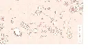 THE ART OF POP DETAIL.webp