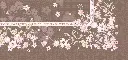 GENTLE STEM DETAIL.webp