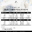 293.webp