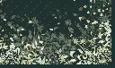 FOREST DREAMS HD det.webp