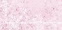 FIORE PETALS RMK DETAIL.webp