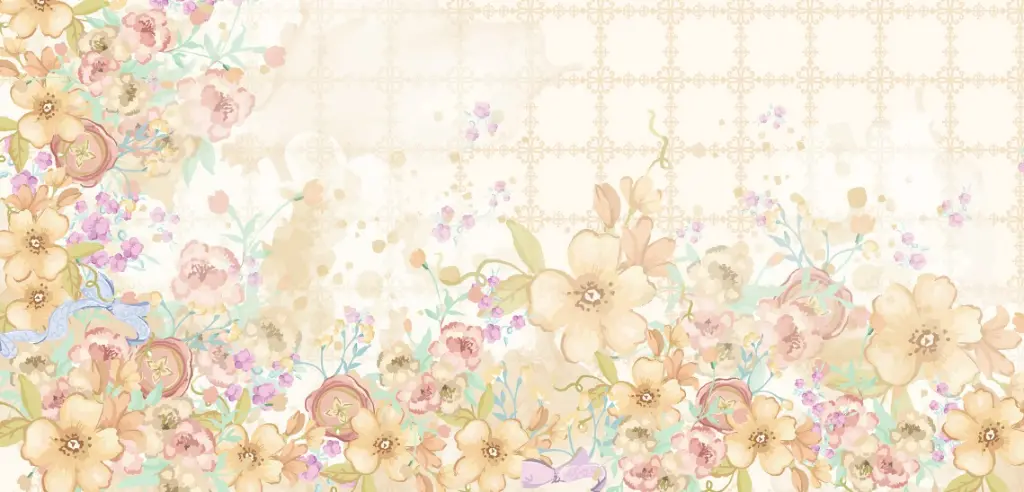 WhatsApp Image 2025-06-26 at 5.36.10 PM.webp