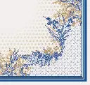 WhatsApp Image 2025-06-26 at 11.58.45 AM.webp