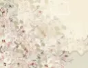 MONSOON PETALS HD DET.webp