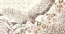 SAFARI SILK HD det.webp