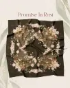 Promise In Rust