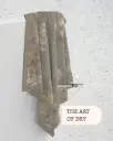 THE ART OF DRY