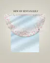 DEW OF SENTANI LILY